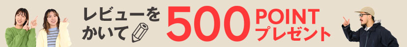 レビューを書いてプレゼント