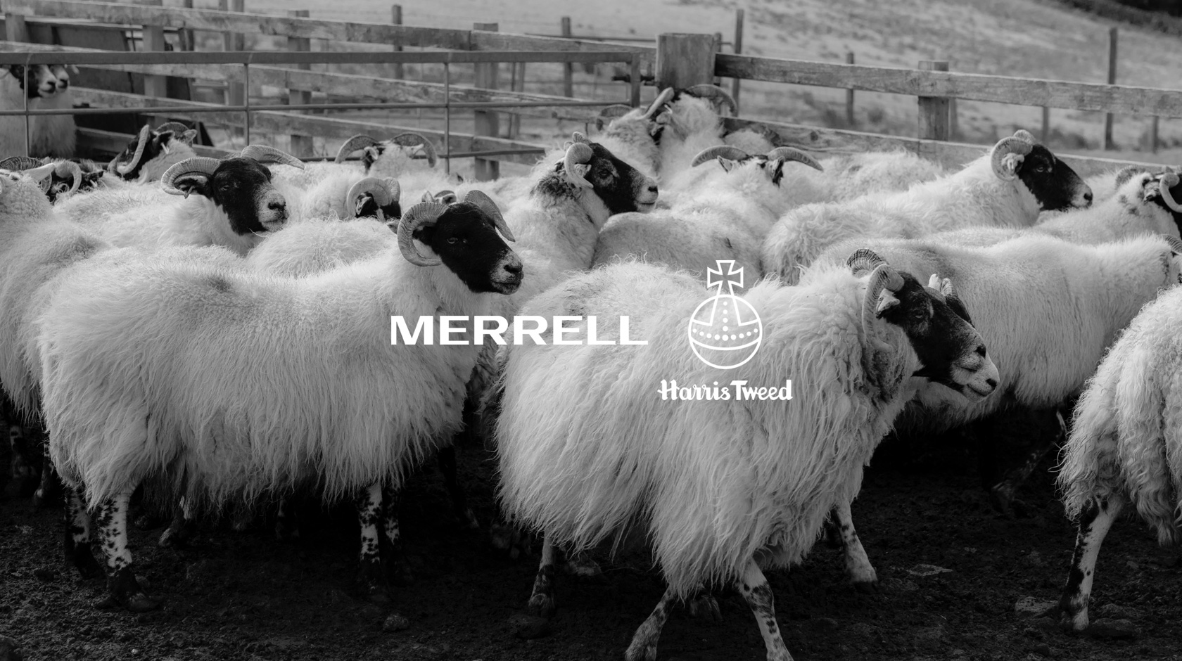 MERRELL
