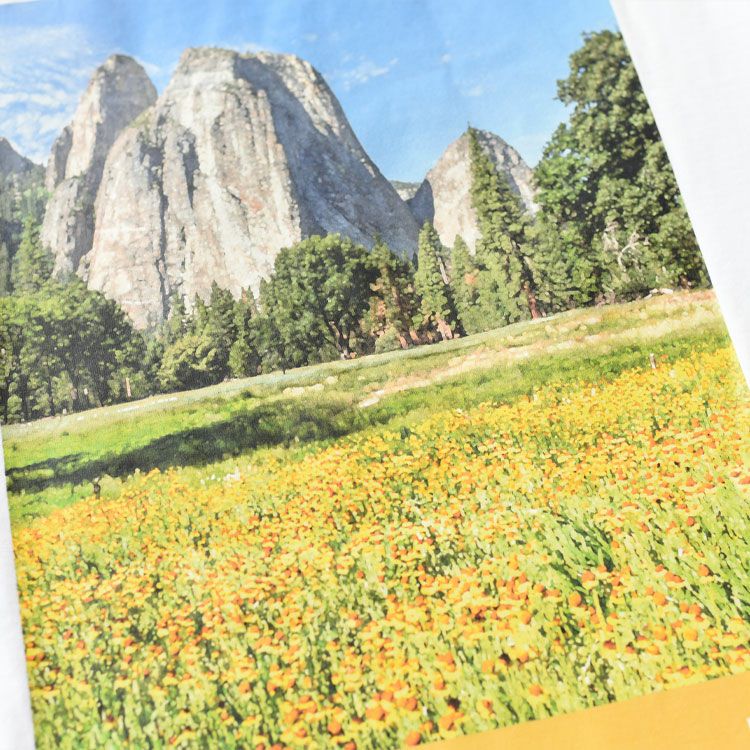 S/S YOSEMITE SCENERY TEE ショートスリーブヨセミテシーナリーティー（ユニセックス）