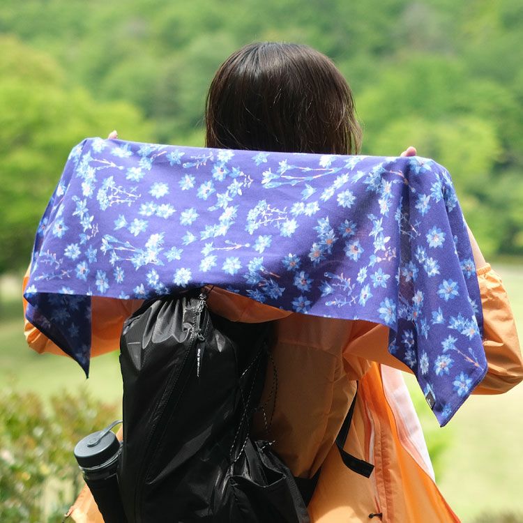 スポーツてぬぐい 山シリーズ