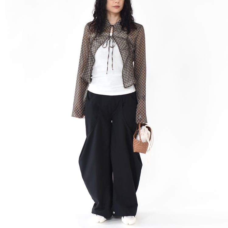 sheer collared blouse シアーカラーブラウス