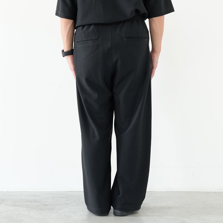 TECH MESH PANTS テック メッシュパンツ/BP-43026W/DAIWA PIER39