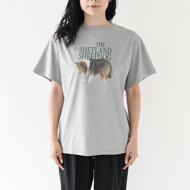 THE SHETLAND SHEEPDOG TEE ザ シェットランドシープドッグ Tシャツ