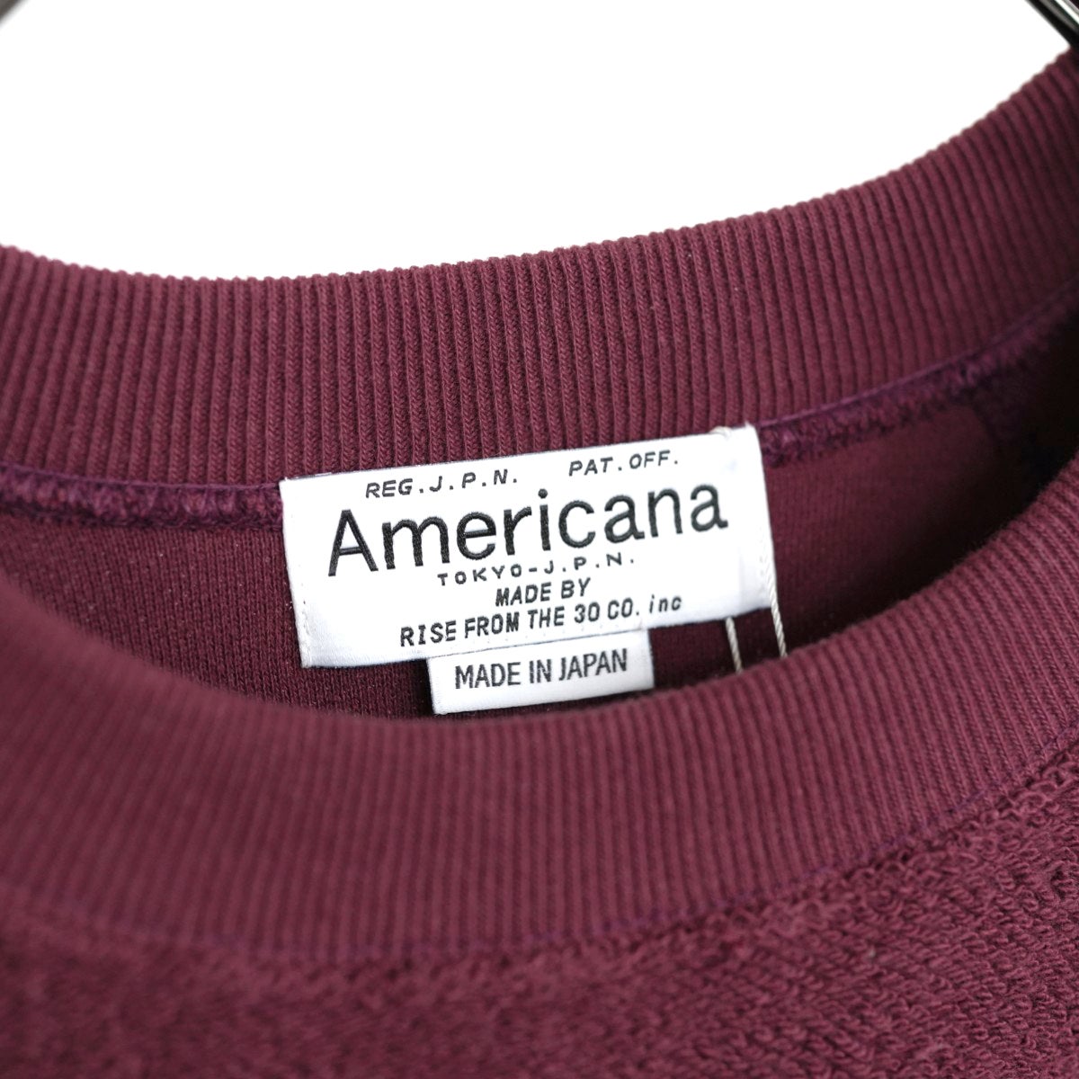 ORIGINAL Charcoal × Americana Leopards sweat オリジナルチャコール×アメリカーナ レオパーズスウェット